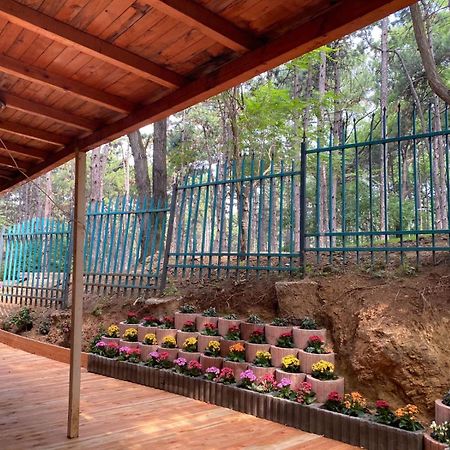 Hotel Gloria Ks Prishtine Bagian luar foto